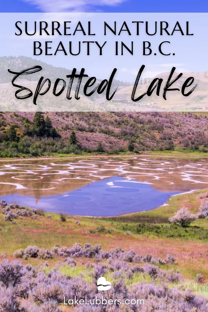View of the Dr. Seuss-like Spotted Lake