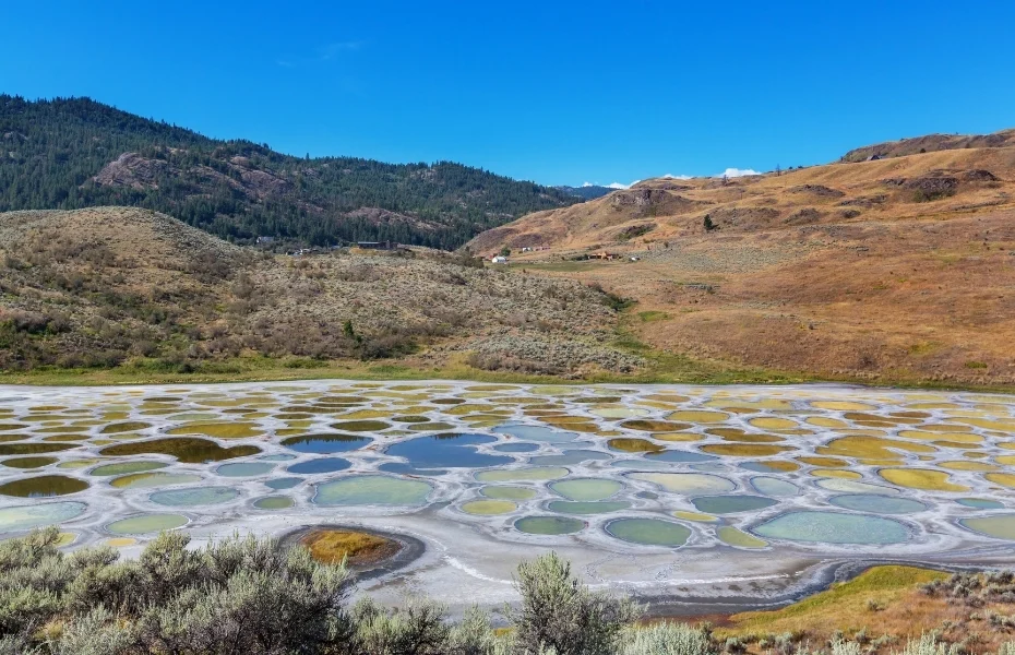 Mineral pools dot Spotted Lake, British Columbia, on a sunny day