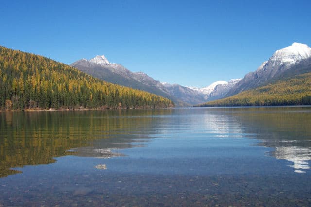 Bowman Lake, Montana, USA Vacation Info: LakeLubbers