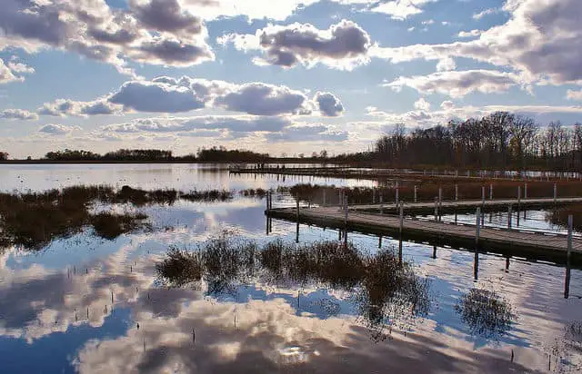 Horicon Marsh near Lake Sinissipi, WI