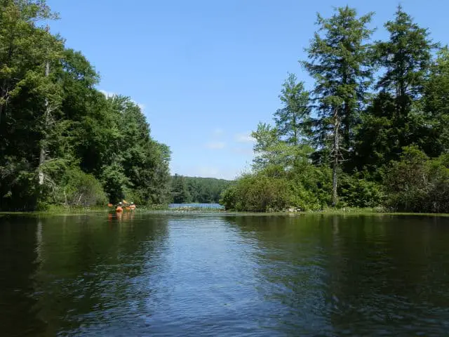  winchester lake questions - Connecticut Lake