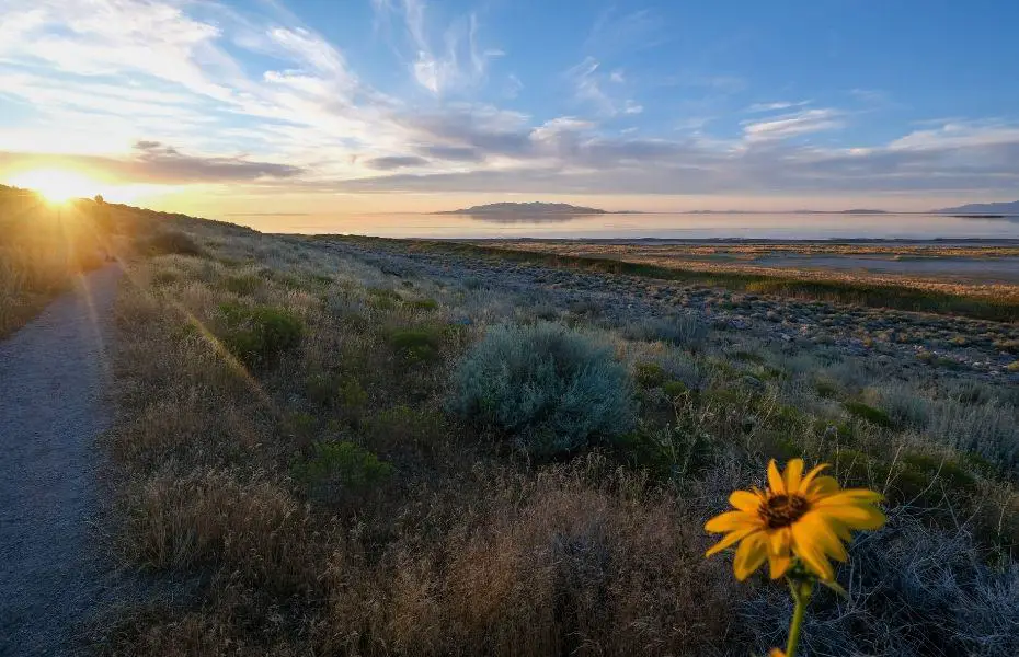 Incredible sky along hiking path at Antelope Island State Park in Utah